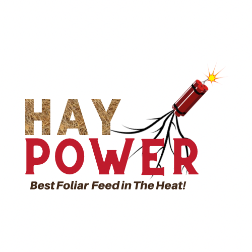 Hay Power